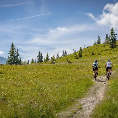 In Near Hochzillertal Area * فغن